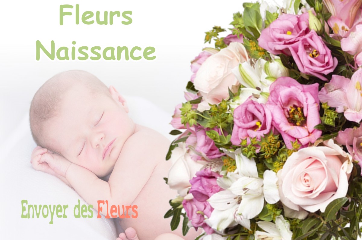 lIVRAISON FLEURS NAISSANCE à GIDY